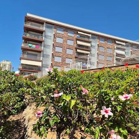 Apartment Algharb Armacao De Pera, Silves *